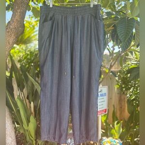 INC International Concepts Blue Straight Leg Crop Pants Size 16W